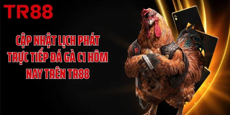 Cập nhật lịch phát trực tiếp đá gà C1 hôm nay trên TR88