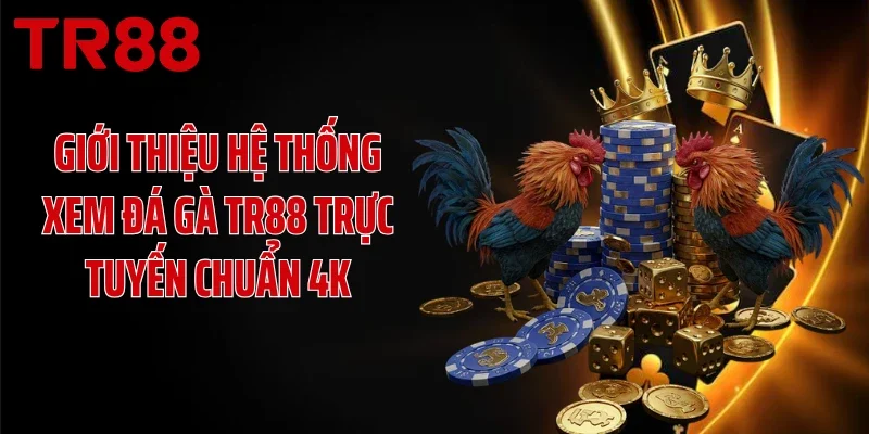 Giới thiệu hệ thống xem đá gà TR88 trực tuyến chuẩn 4K