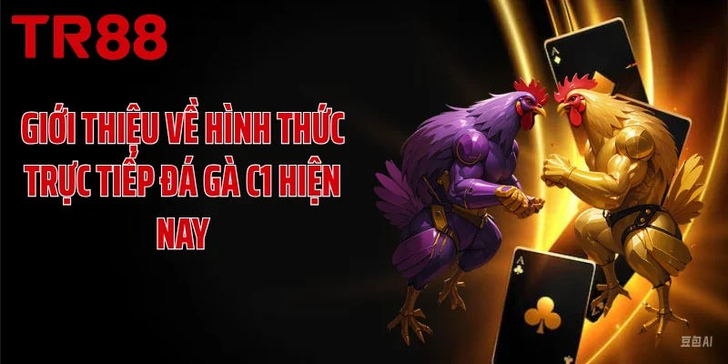 Giới thiệu về hình thức trực tiếp đá gà C1 hiện nay