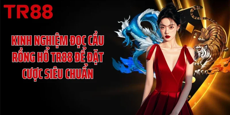 Kinh nghiệm đọc cầu Rồng Hổ TR88 để đặt cược siêu chuẩn