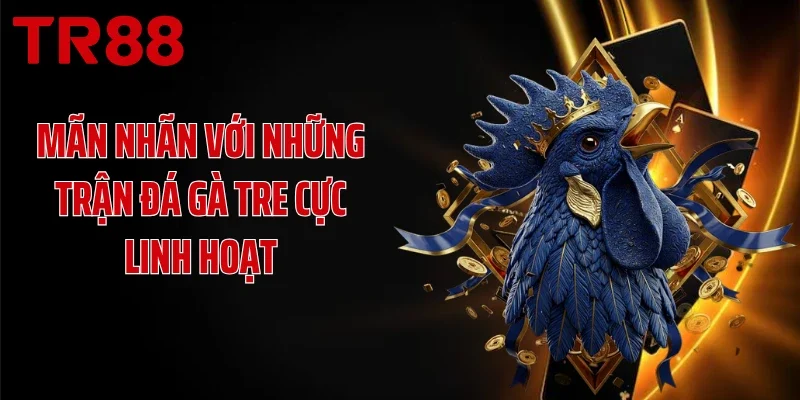 Mãn nhãn với những trận đá gà tre cực linh hoạt