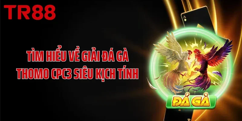 Tìm hiểu về giải đá gà Thomo CPC3 siêu kịch tính