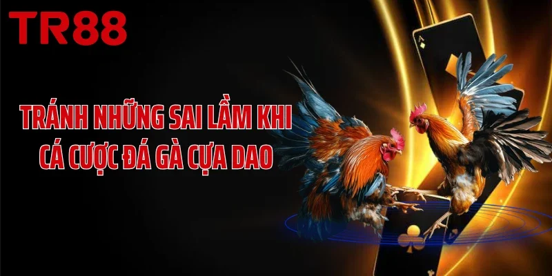 Tránh những sai lầm khi cá cược đá gà cựa dao