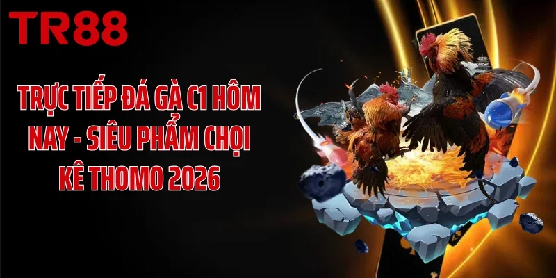 Trực Tiếp Đá Gà C1 Hôm Nay - Siêu Phẩm Chọi Kê Thomo 2026