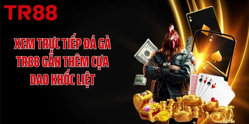 Xem trực tiếp đá gà TR88 gắn thêm cựa dao khốc liệt