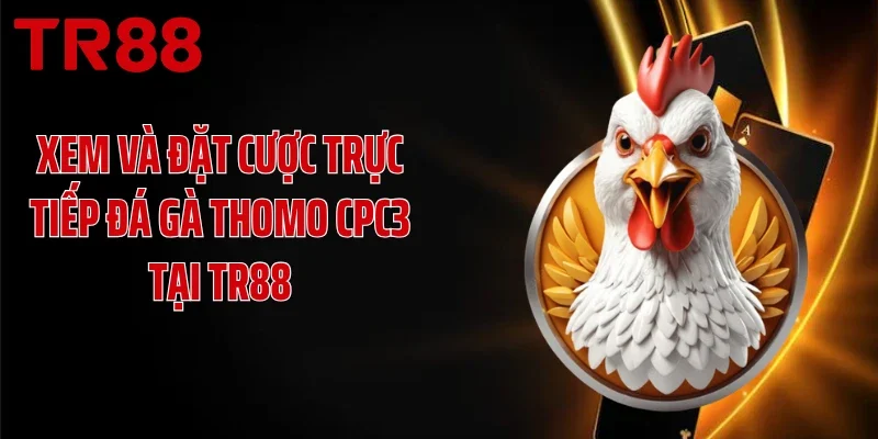 Xem và đặt cược trực tiếp đá gà Thomo CPC3 tại TR88